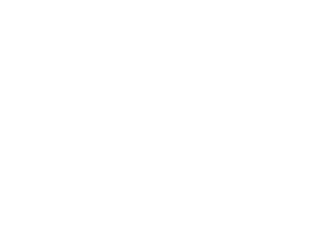 Loftus JiuJitsu Logo